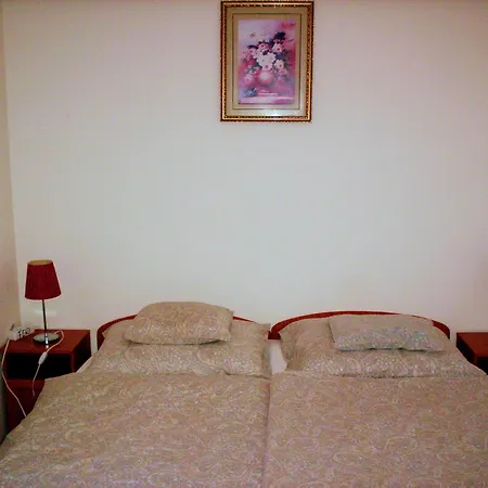 Apartament Haus Ferencz Boetoes